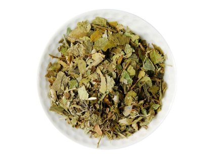 Ginkgo čaj - Spomeň si (40g)